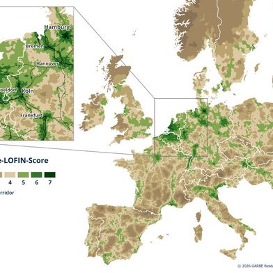 Karlsruhe/Mannheim, Duisburg und Hamburg zählen zu den deutschen Standorten mit besonders hoher Eignung für die militärische Mobilität. (Bild: Garbe Research)