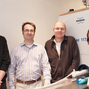 Forscher um Prof. Fedor Jelezko, Prof. Martin Plenio, Prof. Volker Rasche und Prof. Tanja Weil (v.l.n.r.) wollen die Magnetresonanztomographie verbessern.