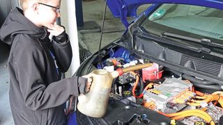 80122352 (Bild: Rosenow)