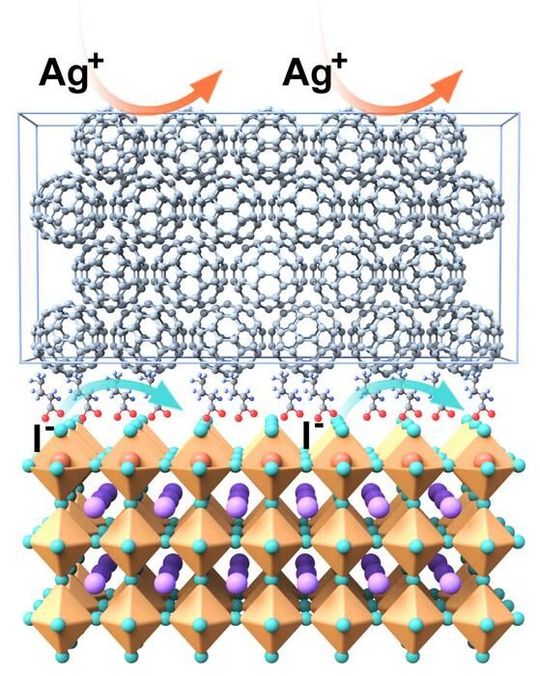 A fluorinated compound between the perovskite and the buckyball (C60) contact layer forms an almost monomolecular film that acts as a chemical protective barrier and increases the stability of the cell. (Source:  Guixiang Li/Nature Photonics 2025)
