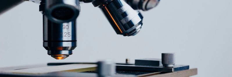 Gewebeschnitte werden in der Pathologie traditionell mit dem Mikroskop angefertigt, lassen sich heute aber auch digital mit Scannern generieren – das Ergebnis sind Bilder im Gigabyte-Bereich. Gewebeschnitte werden in der Pathologie traditionell mit dem Mikroskop angefertigt, lassen sich heute aber auch digital mit Scannern generieren – das Ergebnis sind Bilder im Gigabyte-Bereich.