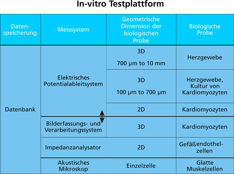 Tabelle 1: In-vitro-Testplattform für Herzkrankheiten und kardiovaskuläre Erkrankungen  (Bild: Fraunhofer IBMT 2010)