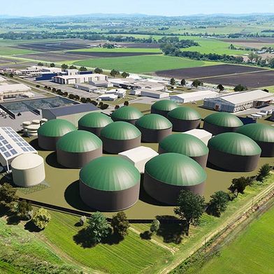 Kalfresh arbeitet mit Weltec Biopower zusammen, um ein Vorzeigeprojekt im australischen Queensland zu realisieren (Bild: Weltec Biopower)