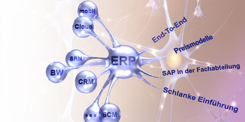 ERP als Herzstück integrierter Systeme positionieren: ERP steht im Mittelpunkt der Softwarelandschaft. Wie Gliedmaßen positionieren sich andere Komponenten um den SAP-Kern. Hinzu kommen weitere Lösungen wie mobile Applikationen oder Cloud-Anwendungen, die es zu integrieren gilt. (© DSAG 2012)
