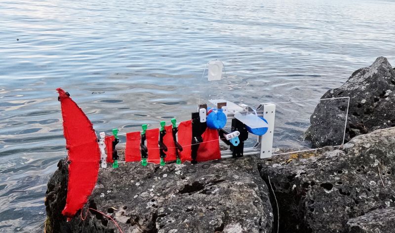 EPFL researchers have unveiled ScaFi (short for “Scalable Fish”), a robot modeled after fish such as cod and mackerel. Its size can be adjusted as needed.(2026 CREATE Lab EPFL  / CC BY-SA 4.0)