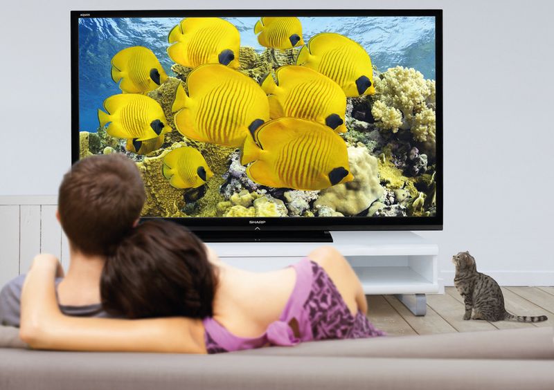 Der Sharp Aquos LC-80LE645E macht das Wohnzimmer zum Heimkino. (Archiv: Vogel Business Media)