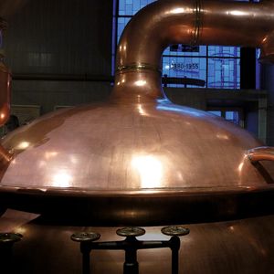 Maischen, kochen, kühlen, lagern – die einzelnen Prozessschritte beim Bierbrauen benötigen erhebliche Mengen Energie.