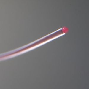 Das besondere der mit Glycerin gefüllten Polymerhohlfaser ist, dass sie eine Dehnung von 10 Prozent verträgt und damit viel stabiler ist, als die bekannte Glasfaser. Die Schweizer Experten merken an, dass sie nicht allein bei der Datenübertragung ihren Trümpfe ausspielen wird, denn sie erkennt auch, wie weit sie gedehnt wird.(Bild:  Empa)