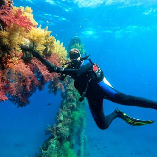 The researchers conducted a series of exposure experiments in which the effects of the plastic additives were tested at environmentally-relevant concentrations in seawater, and at higher laboratory concentrations. The researchers conducted a series of exposure experiments in which the effects of the plastic additives were tested at environmentally-relevant concentrations in seawater, and at higher laboratory concentrations.
