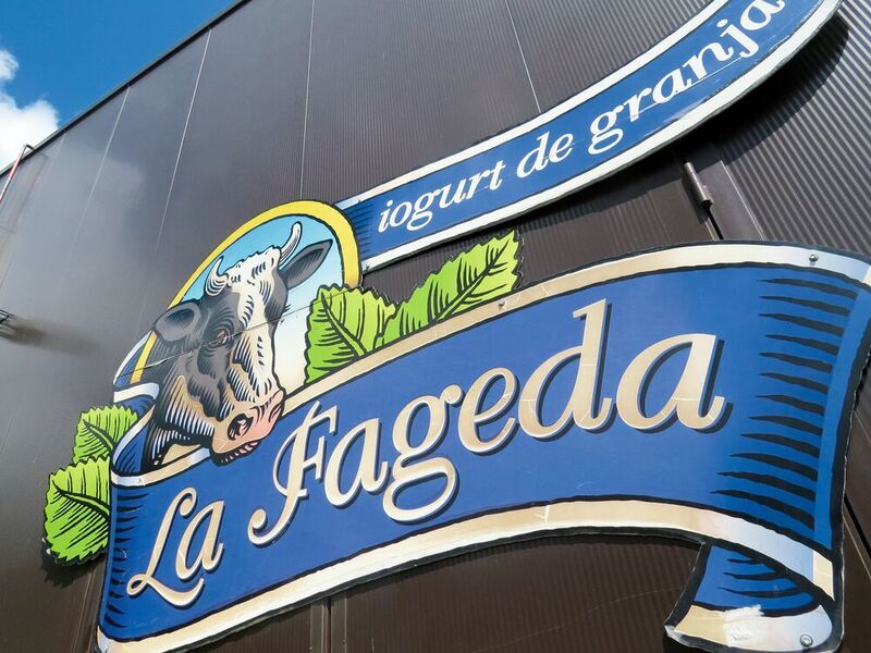 Das Konzept von La Fageda – Joghurt direkt von der Farm anzubieten – ist aufgegangen. Heute gehört das Unternehmen zu den größten Joghurt-Produzenten der Region (Vega)