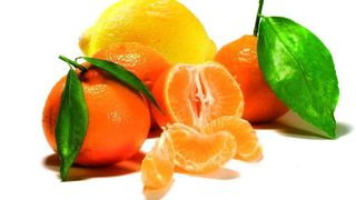 1  Zitrusfrüchten wird ein hoher Gehalt an Antioxidantien nachgesagt. (Archiv: Vogel Business Media)