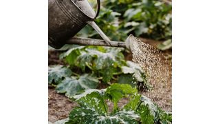 Im B2B Marketing vollzieht sich ein klarer Wandel: weg vom Gießkannenprinzip, hin zur individuellen Ansprache. (Bild: Pexels)