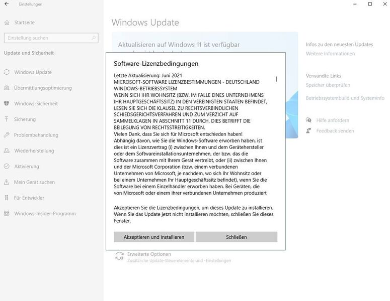 Bestätigen des Lizenzvertrages von Windows 11 vor der Aktualisierung. (Joos / Microsoft)