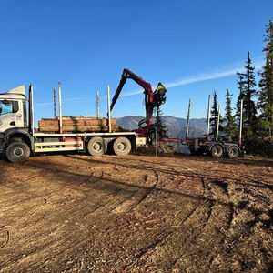 Aufladen von Baumstämmen. (Bild:  FTG - TU Graz)