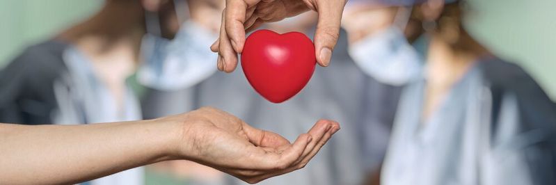 Organtransplantation kann Leben retten. Doch ist dies auch mit Spenderorganen von Schweinen möglich? Hier besteht noch Forschungsbedarf (Symbolbild). Organtransplantation kann Leben retten. Doch ist dies auch mit Spenderorganen von Schweinen möglich? Hier besteht noch Forschungsbedarf (Symbolbild).