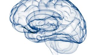 Intraoperative Fluoreszenz-Technik hilft dem Chirurgen, Tumorgewebe im Gehirn zielgenau und vollständig zu entfernen und somit die Lebensqualität für den Patienten zu erhalten oder gar zu verbessern.  (Bild: Leica)