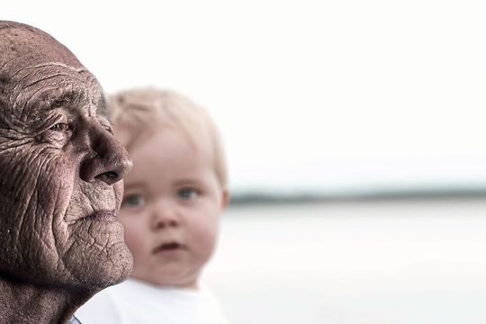 Erhöhte Gebrechlichkeit und Immunschwäche gehören zu den Hauptmerkmalen des Alterns. Forschenden der Universität Bern und vom Inselspital, Universitätsspital Bern ist es nun im Tiermodell gelungen, diese zwei altersbedingten Beeinträchtigungen mit einer neuartigen Zelltherapie zu entschleunigen und teilweise rückgängig zu machen. (Symbolbild) Erhöhte Gebrechlichkeit und Immunschwäche gehören zu den Hauptmerkmalen des Alterns. Forschenden der Universität Bern und vom Inselspital, Universitätsspital Bern ist es nun im Tiermodell gelungen, diese zwei altersbedingten Beeinträchtigungen mit einer neuartigen Zelltherapie zu entschleunigen und teilweise rückgängig zu machen. (Symbolbild)