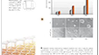 Tn_cellGrade_HEK293 ()