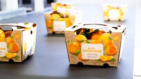 Habasit präsentiert auf der Fachmesse Interpack ein sein Portfolio an Förder- und Antriebslösungen für die Verpackungs- und Lebensmittelindustrie. (Bild: Habasit)