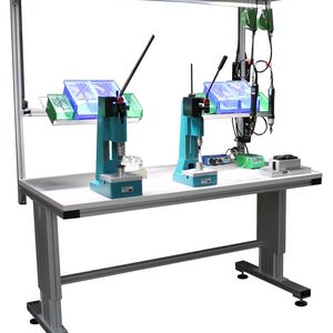 (Baumeister & Schack)