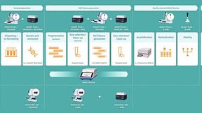 Das Workflow-Diagramm zeigt, wie die Liquid-Handling-Lösungen von Integra jeden Schritt der NGS-Vorbereitung rationalisieren und die Effizienz der NGS-Bibliotheksvorbereitung optimieren können. (Bild: Integra Biosciences)