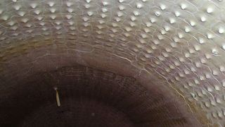 Blick in eine gekühlte  Brennkammer eines Doppelmantelapparates, Bauart Caloric Anlagenbau. Die Innenwand ist mit Stützankern versehen, um eine Anhaften der Salzschicht zu erleichtern. Im unteren Bereich sind Abrisskanten von abgeplatzten Salzschichten zu erkennen. (Bilder: Dürr)