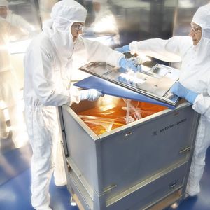 Die Biotechnologie-Sparte des Konzerns, Sartorius Stedim Biotech, erzielte im Geschäftsjahr 2008 laut Unternehmensangaben einen Umsatz von 366,0 Millionen Euro. Damit lag der Umsatz auf Basis konstanter Wechselkurse mit einem Plus von 0,2 Prozent in etwa auf dem Niveau des Vorjahres, während er in Berichtswährung um 2,6 Prozent zurückging. 