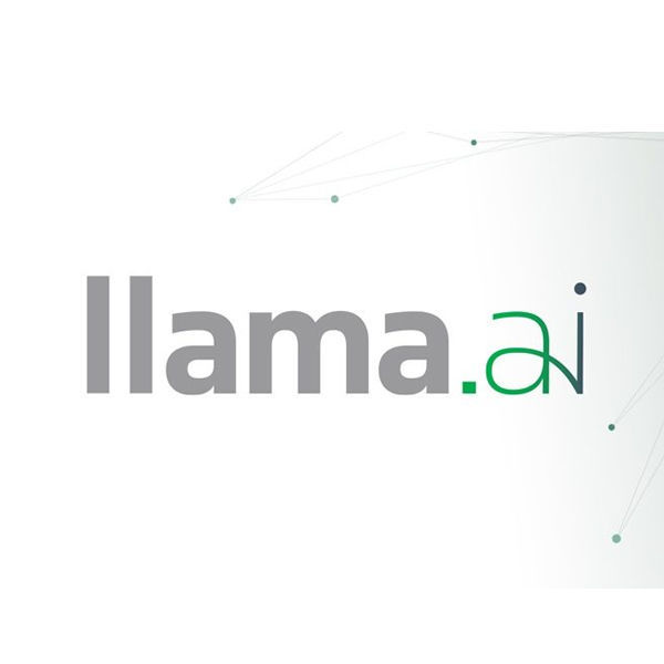 LLamasoft optimiert Geschäftsentscheidungen