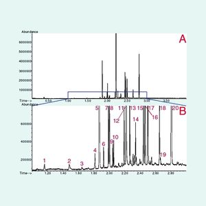 Abb. 2a Total-Ionen-Chromatogramm (A) und eine Detailbetrachtung (B) zwischen der ersten und dritten Minute der Aufzeichnung der HS-SPME-GC/MSD-Analyse von zehn Gramm Apfelkompott (Peakzuordnung siehe Tabelle 1).