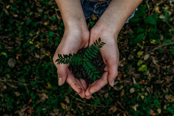 Verhaltensänderungen im Angesicht des Klimawandels  Dass jeder beim Thema Klimawandel gefordert ist, setzt sich zunehmend im Bewusstsein der Menschen fest. In einer Online-Umfrage des Marktforschungsunternehmens Ipsos wurden rund 1000 Leute in Deutschland gefragt, wie sie ihr Verhalten in Anbetracht des Klimawandels in den vergangenen Jahren angepasst haben. Welche Änderungen am häufigsten genannt wurden, zeigt diese Bildergalerie. Anmerkung: Die Umfrage wurde in insgesamt 28 Ländern weltweit durchgeführt. Insgesamt gaben 69% der weltweit Befragten an, zumindest eine Verhaltensweise geändert zu haben. In Deutschland haben nur 60% der Befragten mindestens eine Verhaltensweise geändert.     Lesetipp: Grüne Antriebstechnik – Werden Lastwagen bald ein Vorbild im Klimaschutz? (Unsplash/Noah Buscher)
