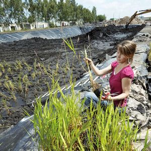 Abb. 1: Versuchsanlage zur Sedimentkonditionierung. 