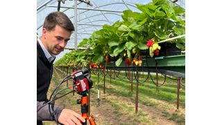 Mithilfe Künstlicher Intelligenz erkennen Multi- und Hyperspektralkameras erste Symptome von Erkrankungen oder Schädlingen an Erdbeerpflanzen – eine Smart-Farming-Lösung der Fraunhofer-Institute IGD und IGP.  (Bild: Fraunhofer IGD)