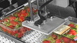 Bluhm Webinar Kampagnenbild ( Bluhm Systeme GmbH)