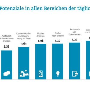 Am häufigsten werden digitale Tools für Anträge und Formulare genutzt.  
