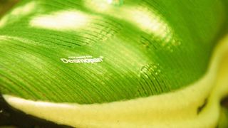 Covestro bietet unter dem Namen Desmopan EC jetzt biobasierte thermoplastische Polyurethane (TPU) an. Modische Sportschuhe, wie hier, können daraus entstehen. (Covestro)