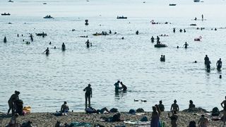 Der Große Müggelsee im Sommer – ein beliebtes Ausflugsziel und immer wieder von Algenblüten betroffen. (Tom Shatwell / IGB )