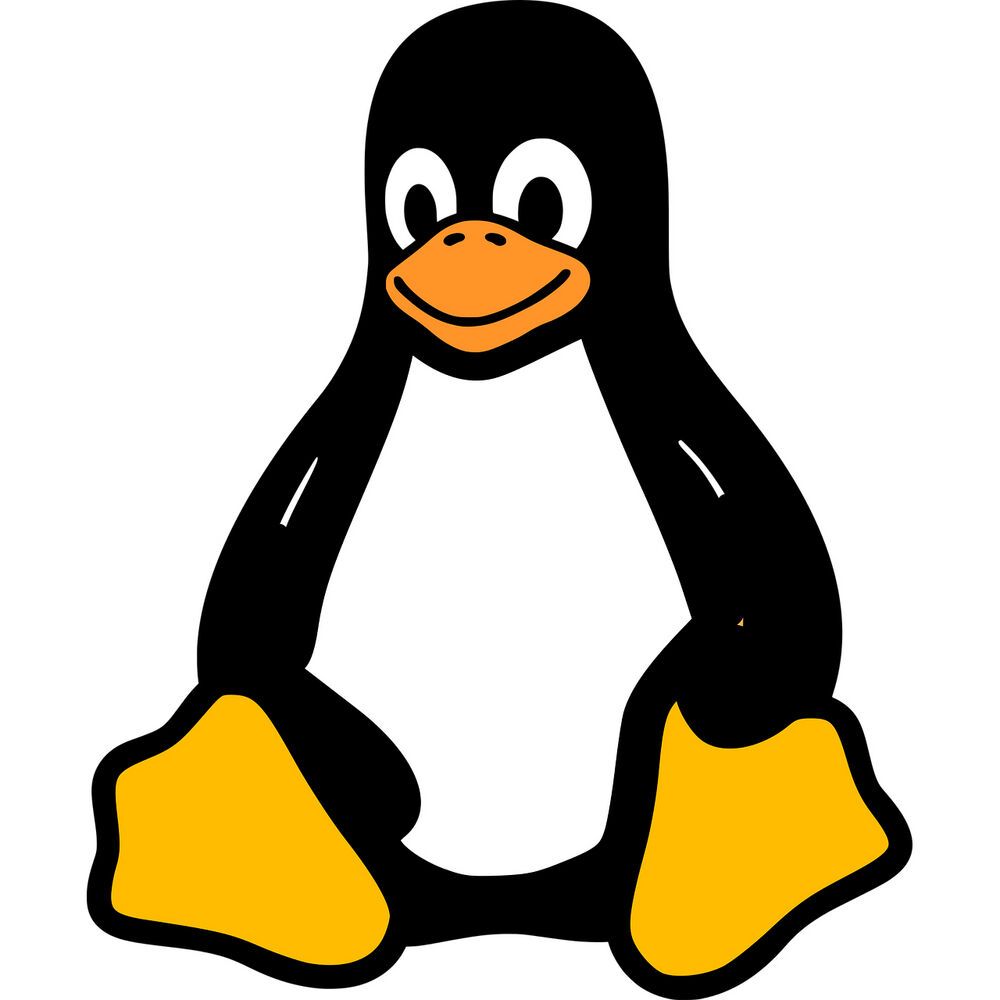 Mit rsync in linux daten kopieren und verzeichnisse synchronisieren