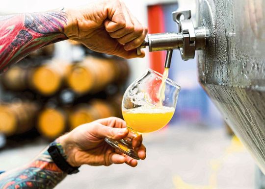 Nicht nur in Bier sind wertvolle Inhaltsstoffe, auch in den anfallenden Brauresten (Symbolbild).(Bild:  gemeinfrei, Evan Dvorkin / Unsplash)