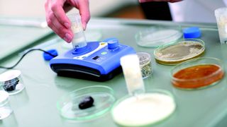 Abb. 1: Durch die Einweggefäße des UTTD vermeidet man Querkontaminationen.  (Bild: IKA)