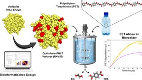 Das Enzym PHL7 wurde so verändert, dass es PET-Plastik schneller und unter industriellen Bedingungen abbauen kann. (Bild: Universität Leipzig)