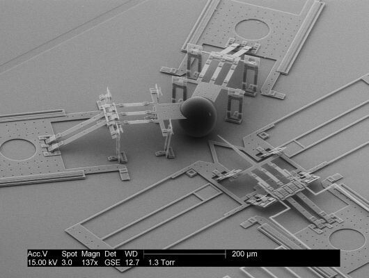 Auf dem Bild ist gut die mikroskopische Lanze des MEMS Nanoinjektors zu erkennen (Brigham Young University)