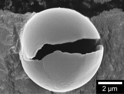 Polymerkapseln, die sich selbst entsorgen Polymerkapseln können funktionelle Substanzen wie Medikamente und Duftstoffe speichern. Herkömmliche Kapseln verwenden jedoch klassische Polymere, die zum Mikroplastik-Problem in den Meeren beitragen, wenn sie in die Umwelt gelangen.  Eine Forschungsgruppe um Yukiya Kitayama von der Osaka Metropolitan University hat eine neue Technologie zur Herstellung von Polymerkapseln entwickelt. Ihr Verfahren erzeugt Kapseln aus photoreaktiven Monomeren, die durch Kondensation natürlicher Moleküle entstehen. Dazu gehören Zimtsäure aus bestimmten Pflanzen und Glycerin aus Lipiden.   Die Polymerkapseln haben eine Haltbarkeit von etwa einem Jahr und lassen sich leicht abbauen. Sie durchlaufen einen Photoabbau bei kurzwelligem Licht und können durch Hydrolyse der enthaltenen Esterbindungen zersetzt werden.   Das Bild zeigt eine der abbaubaren Polymerkapseln.  Hier gehts zur OriginalmeldungWissenschaftsbild des Tages vom 22.1.2026 (Bild: Osaka Metropolitan University)