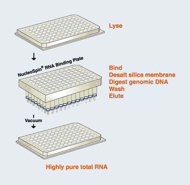 Abb.2: Das NucleoSpin RNA Kit basiert auf dem 