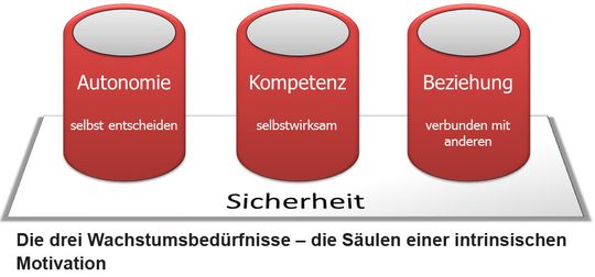 Die drei Wachstumsbedürfnisse von Arbeitnehmern.(Profilberater)