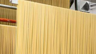 In Nudeltrocknungsanlagen sind die Anforderungen an die Maschinenkomponenten hoch, ein Produktionsstillstand zum Beispiel wegen korrodierter Steckverbinder wird schnell sehr teuer. (©lucia_lucci - stock.adobe.com)