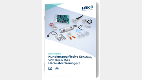 Der Weg zum eigenen Sensor - in 30 Tagen!