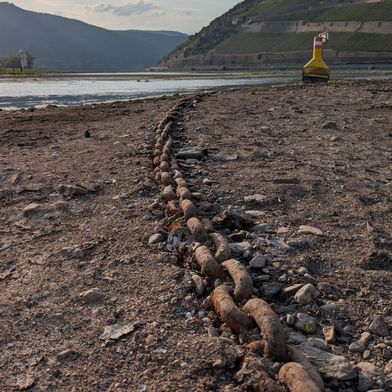 Nahe-Mündung mit Blick auf den Rhein (im Hintergrund) im Sommer 2026 (Bild: Robert Reinecke)
