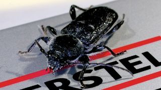  (Archiv: Vogel Business Media)