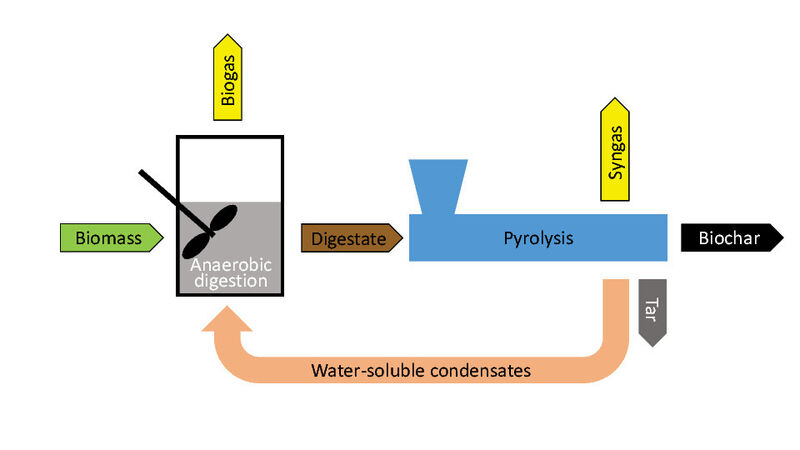 Schematische Darstellung der anaeroben biologischen Umwandlung wasserlöslicher Pyrolysekondensate (Mumme/ATB)