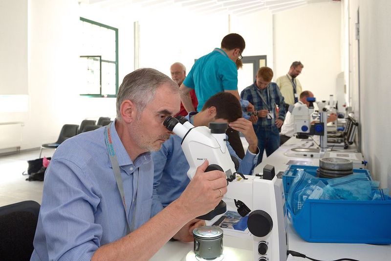 Eindrücke von der Werkstoffwoche Dresden 2015. (Bild: Werkstoffwoche Dresden)